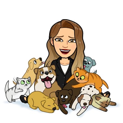 Permiso para cuidar de tu mascota Infocamareros